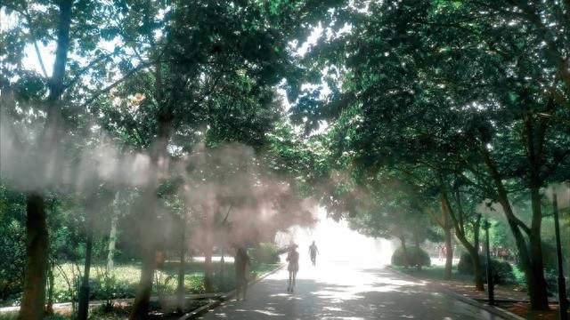 秋意漫上枝头时，不必追赶风的脚步，只消静立成林间一枚叶。