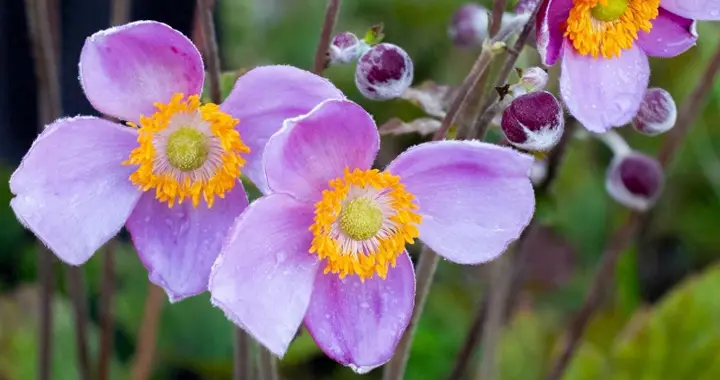 中年女人这样子回你消息，其实是拒绝你，对你没兴趣