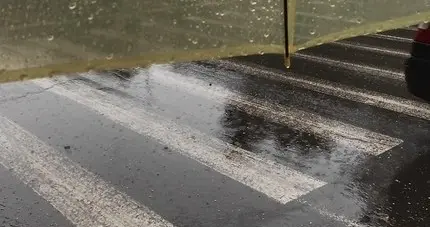 杭州阴雨预警！周六晴暖收尾，下周雷雨+降温来袭，最低13℃