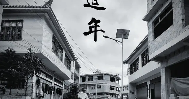 中原深处的年轮：一个河南村庄的岁时密码