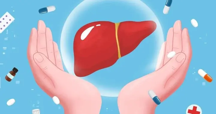 髓系KIF13B通过抑制STT3A/CTSD/THBS1轴预防MASH