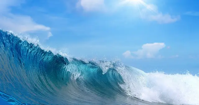 向海而生：在自己的疆域里，成全万千可能