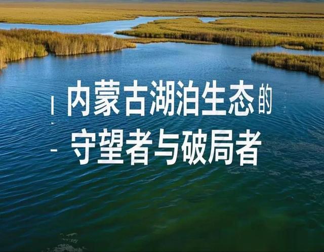 民间学者赵忠茂：为水资源保护点亮明灯