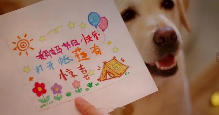 车轮驶过的远方，都是“家”的延伸