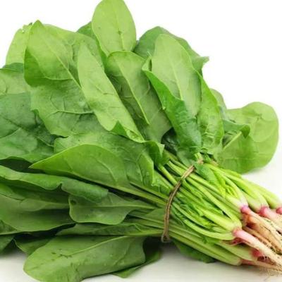 曾老师杂谈：注意：3种蔬菜嘌呤比肉还高