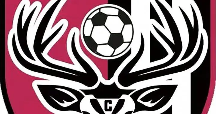 江苏十三太保巡礼之盐城队