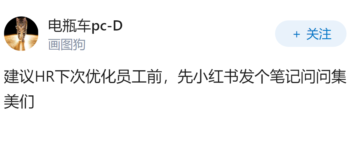 遭前员工举报，被指存在 VIE 信披矛盾和用工漏洞等问题，会对其 IP...