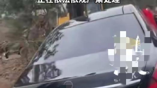 山河拾梦人：辽宁土豪用百万豪车当陪葬品下