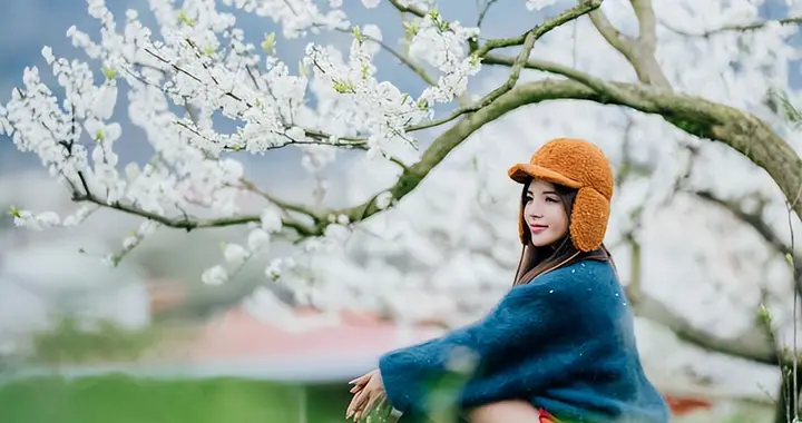 不输武汉樱花！福建赏樱天花板，30万株樱花竞相盛放