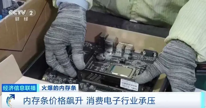 “一天一个价，每天涨约50元” 价格还在狂飙！业内人士：仍未触顶