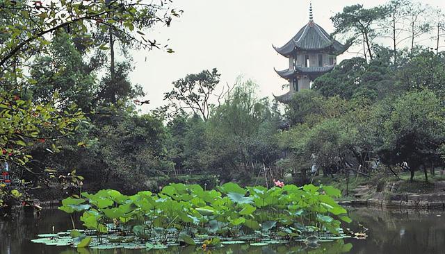 外地女婿坚持给岳父3万安葬费村里人笑话他傻清明节那天真相大白