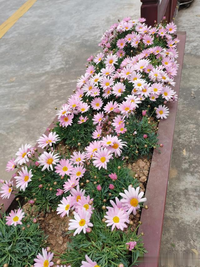 穷亲戚不好意思说出口的事，正是富亲戚不想你开口的事