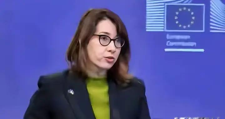 围台军演震慑全球，美日沉默，为何欧盟却偏偏跳出来指手画脚？