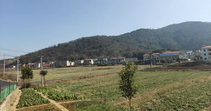 60师四攻王家山，勇夺日军第9师团35联队一中队军旗