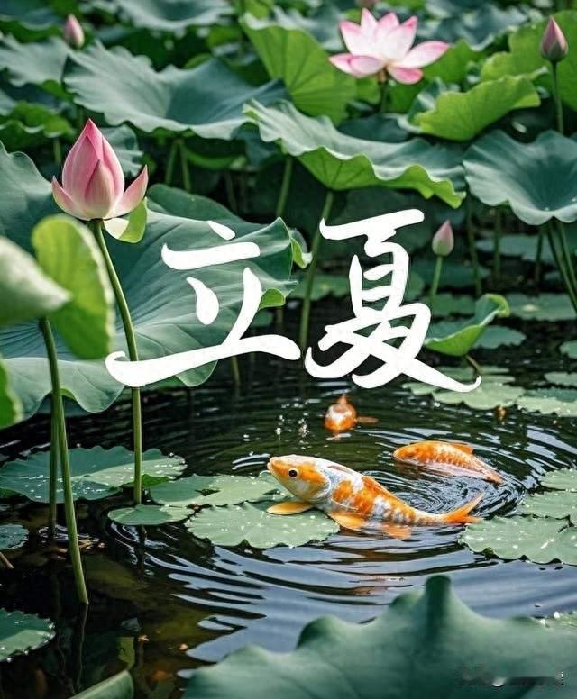 男怕立夏！记住4不吃3多吃，安稳过夏