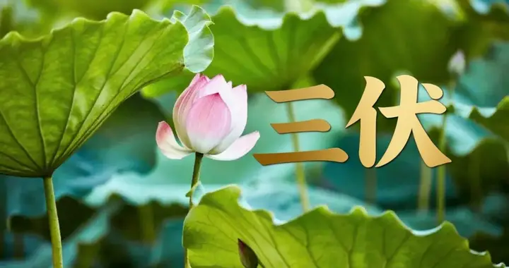 不是迷信！今日入伏，提醒男人：白天5禁忌，晚上4注意，别大意！