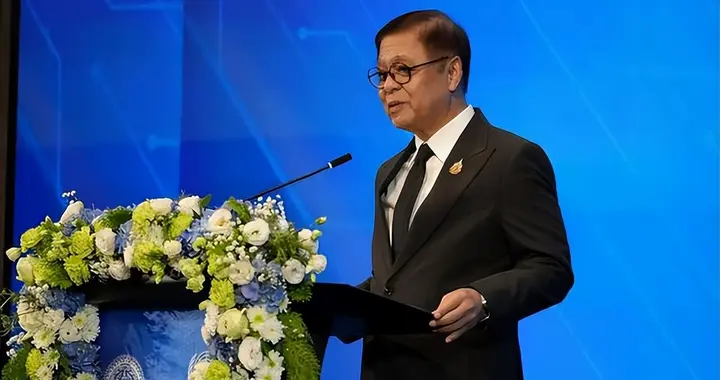 泰国副总理不点名开炮：金砖不是逐利场，获利就走者该对号入座