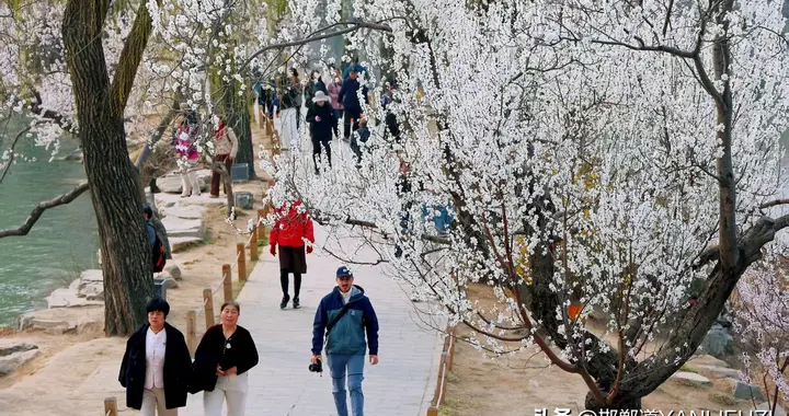 北京市最新公布的 15 条“最美园路”，推荐 4条一日线