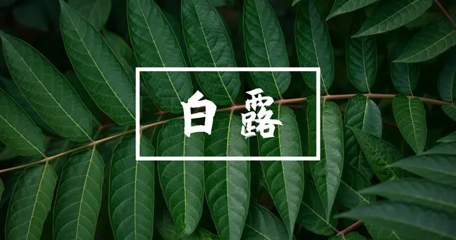 今日白露是“凶日”，提醒中老年:晚上最不能做的4件事，别大意了