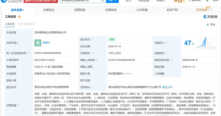 伴漂服务视频认证方成立不足一年