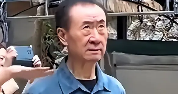 万达电影正式“消失”，王健林的时代已落幕，妻子林宁也无能为力