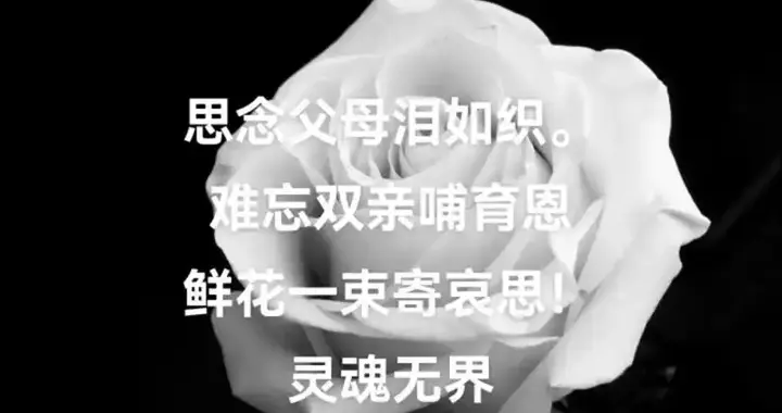 锦账春.丙午清明日