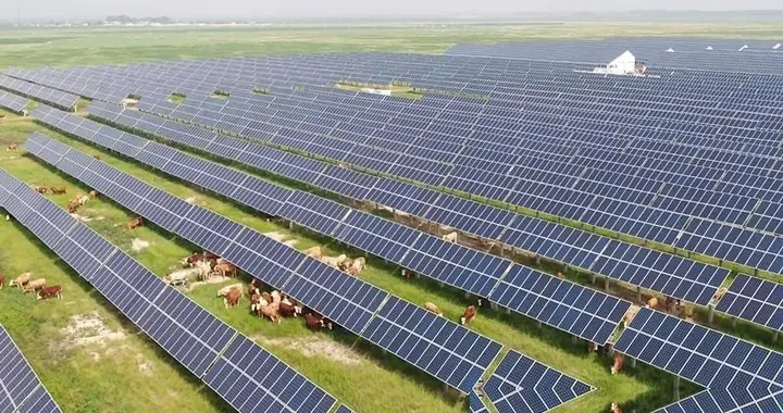 我国最大的＂乌龙事件＂：耗资3亿建发电厂，却整出来一个牧场！