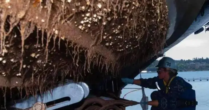 最大捕鱼船竟是航母？辽宁舰捞回数十吨海鲜，为啥不吃反而销毁
