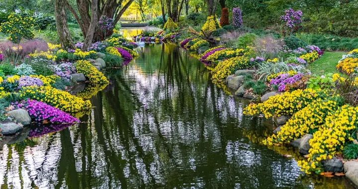 藏茶偶得：一泡“雪藏”两年的4911纪念茶