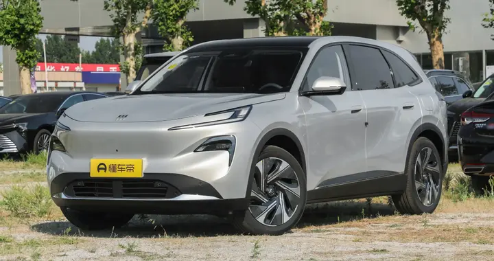 别被“速成车”割韭菜！为什么有些看似低调的国际大厂才更靠谱？