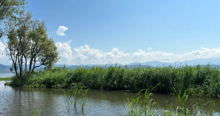 心血管专家提醒：秋冬季血压长期高于150，早上四做四不做！