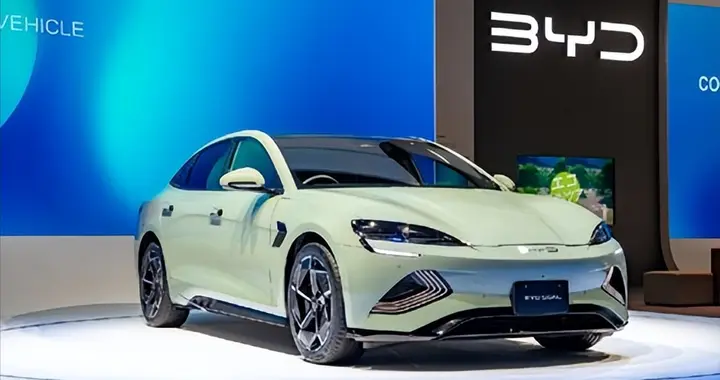 【暴文】比亚迪杀疯了！2025纯电销量超特斯拉，海外卖爆100万辆