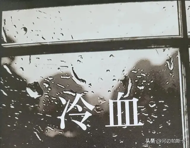 季羡林：我这一辈子也没见过一个坏人变好过