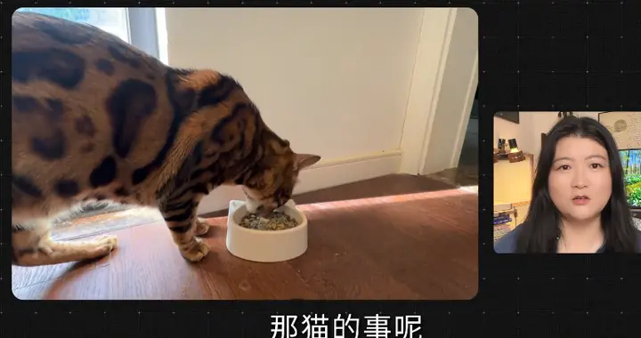 养猫不是伺候宠物，是和猫一起找回天性