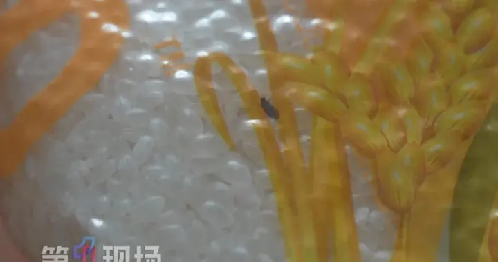一阵后怕！男子网购大米，包装完好却发现小虫，专家：有感染风险