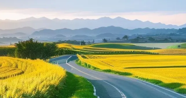 为何很多司机宁愿多花时间跑国道？也不走高速