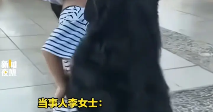 玉溪女童遭未拴绳狗扑骑后续：警方通报双方均违法，原视频已删除