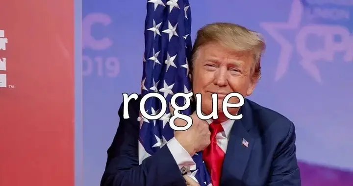 每日单词：rogue