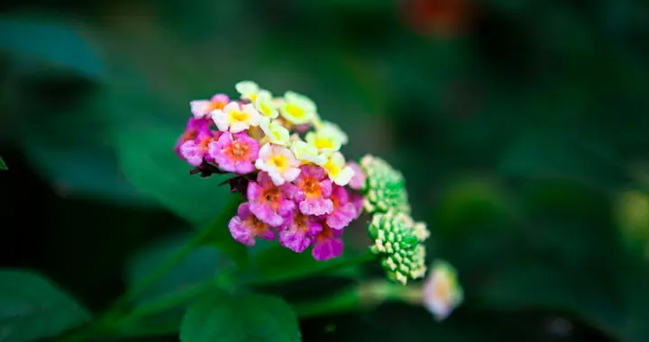 男人想要“套牢”一个中年女人，往往以下方法，很奏效