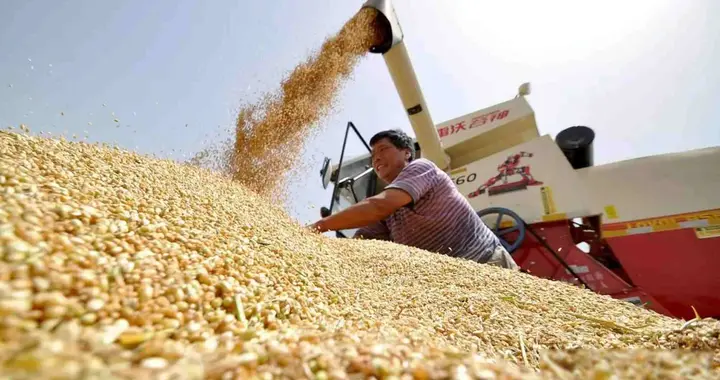 打不过中国，那就饿垮中国？西方媒体算了笔账，看得我大受震撼