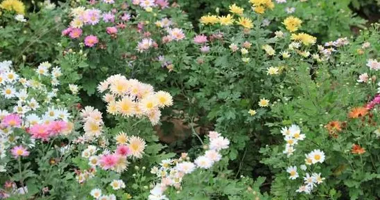 人到60才明白：永远不要在儿女面前，随口说出以下3句话