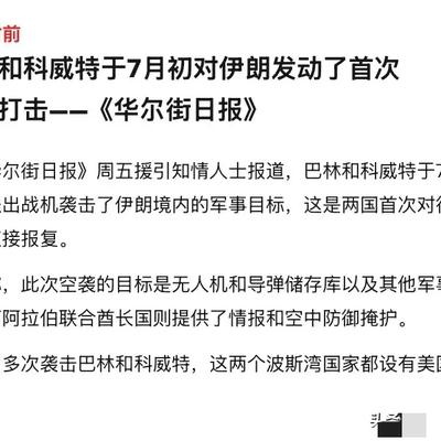 禾水是我：【革命卫队被群殴！为何阿拉伯三