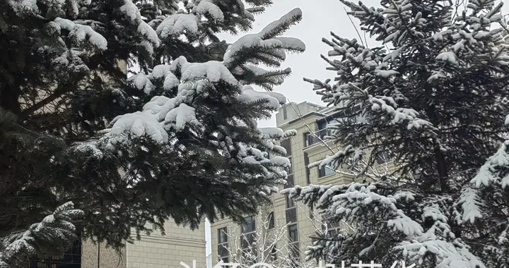 记住了，不管谁问你收入和家庭财务状况，就是不直接回答！