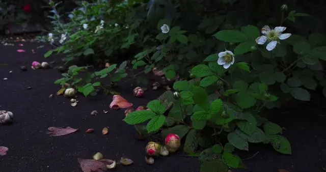 总觉得生活糟透了？别忽略那些藏在烟火里的小美好