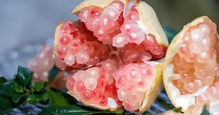 秋天吃石榴超解馋？这些人得悠着点 3个误区别踩，这样吃才对味