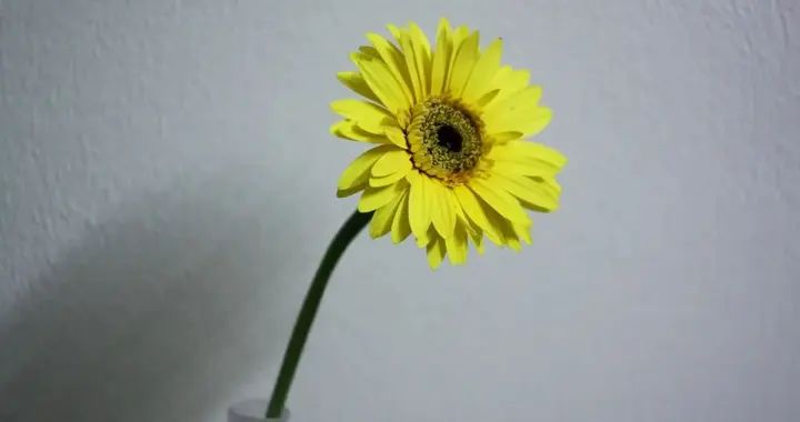 男人给你买过这3件东西，说明对你动了真心