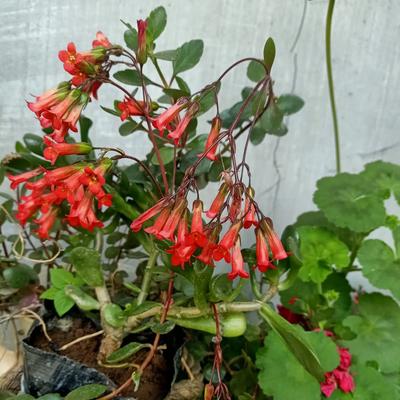 优美漂流瓶阳阳