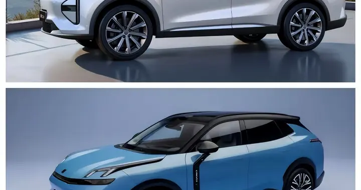 瑶光C-DM寰球版和领克08 EM-P全家春游选哪台？