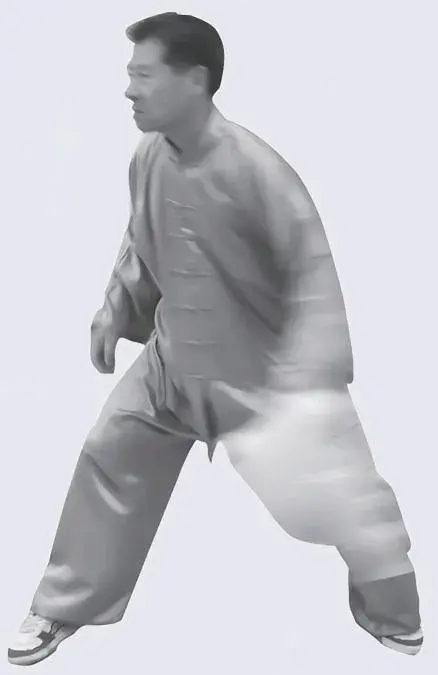 增强实力和内力的抛袋功