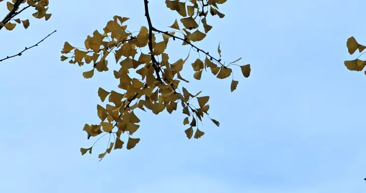 养老选股稳字当头！吃透这几招，跟着舅舅学稳健布局不踩坑